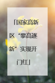 国家高新区“攀高逐新”实现开门红
