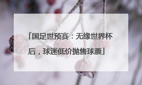 国足世预赛：无缘世界杯后，球迷低价抛售球票