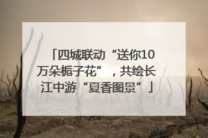 四城联动“送你10万朵栀子花”，共绘长江中游“夏香图景”
