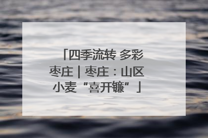 四季流转 多彩枣庄｜枣庄：山区小麦“喜开镰”