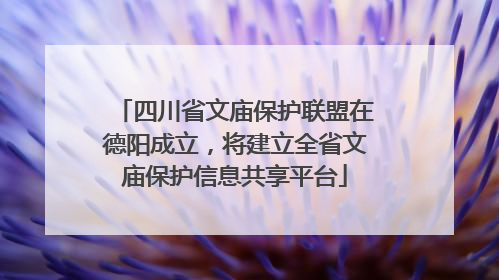 四川省文庙保护联盟在德阳成立，将建立全省文庙保护信息共享平台