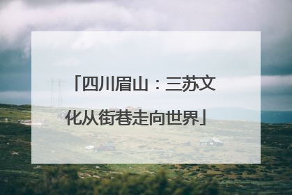 四川眉山：三苏文化从街巷走向世界