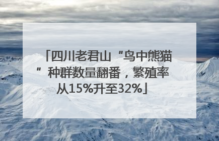 四川老君山“鸟中熊猫”种群数量翻番，繁殖率从15%升至32%