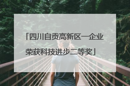 四川自贡高新区一企业荣获科技进步二等奖