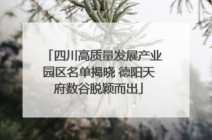 四川高质量发展产业园区名单揭晓 德阳天府数谷脱颖而出