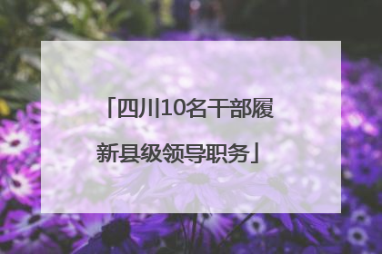 四川10名干部履新县级领导职务