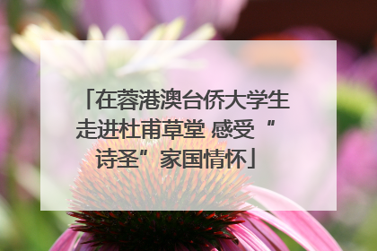在蓉港澳台侨大学生走进杜甫草堂 感受“诗圣”家国情怀