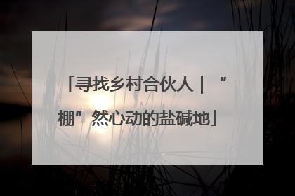 寻找乡村合伙人｜“棚”然心动的盐碱地