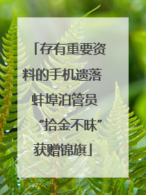 存有重要资料的手机遗落 蚌埠泊管员“拾金不昧”获赠锦旗