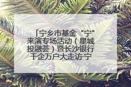 宁乡市基金“宁”来演专场活动（星城投融荟）暨长沙银行千企万户大走访·宁乡专场活动举行