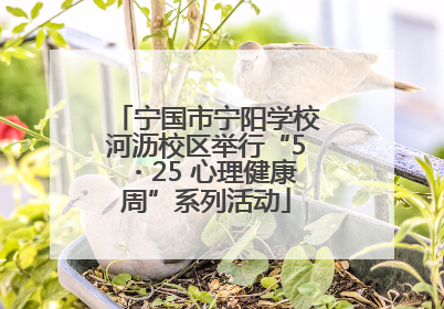 宁国市宁阳学校河沥校区举行“5・25 心理健康周”系列活动