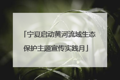 宁夏启动黄河流域生态保护主题宣传实践月