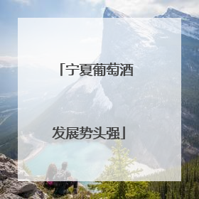 宁夏葡萄酒发展势头强