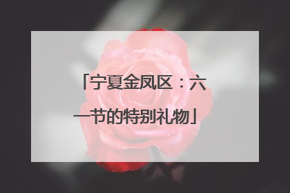 宁夏金凤区：六一节的特别礼物