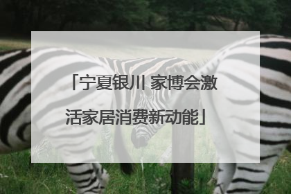 宁夏银川 家博会激活家居消费新动能