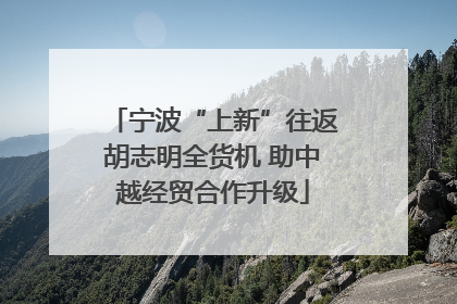 宁波“上新”往返胡志明全货机 助中越经贸合作升级