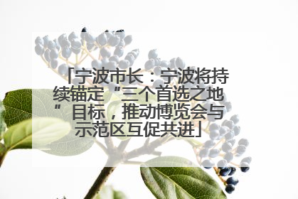 宁波市长：宁波将持续锚定“三个首选之地”目标，推动博览会与示范区互促共进