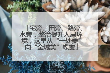 宅旁、田旁、路旁、水旁，整治提升人居环境，这里从“一处美”向“全域美”蝶变