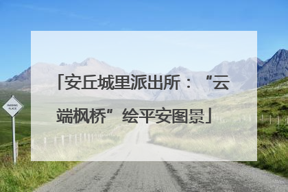 安丘城里派出所：“云端枫桥”绘平安图景