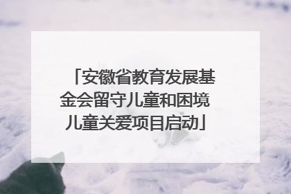 安徽省教育发展基金会留守儿童和困境儿童关爱项目启动