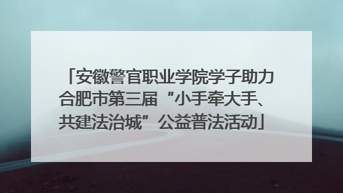 安徽警官职业学院学子助力合肥市第三届“小手牵大手、共建法治城”公益普法活动