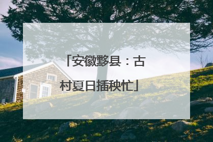 安徽黟县：古村夏日插秧忙