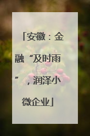 安徽：金融“及时雨”，润泽小微企业