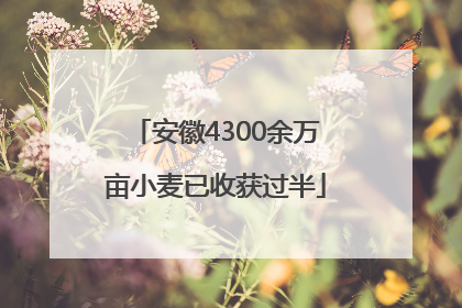 安徽4300余万亩小麦已收获过半