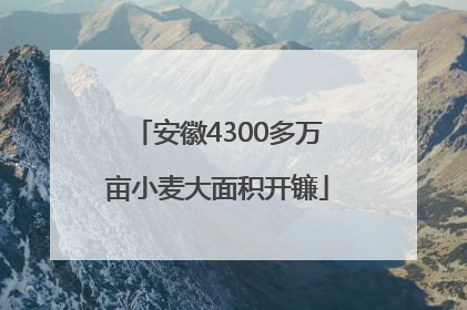 安徽4300多万亩小麦大面积开镰