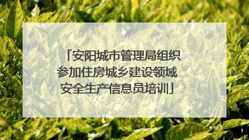 安阳城市管理局组织参加住房城乡建设领域安全生产信息员培训