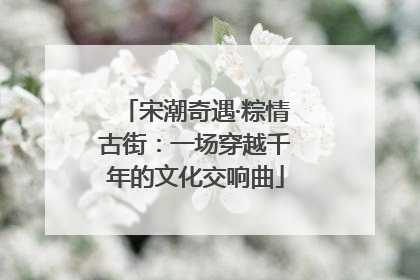 宋潮奇遇·粽情古街：一场穿越千年的文化交响曲
