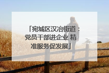 宛城区汉冶街道：党员干部进企业 精准服务促发展