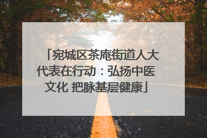 宛城区茶庵街道人大代表在行动：弘扬中医文化 把脉基层健康