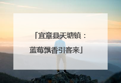 宜章县天塘镇：蓝莓飘香引客来