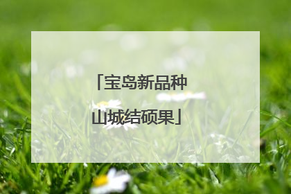 宝岛新品种 山城结硕果
