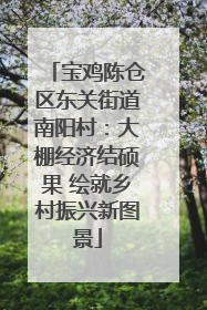 宝鸡陈仓区东关街道南阳村：大棚经济结硕果 绘就乡村振兴新图景