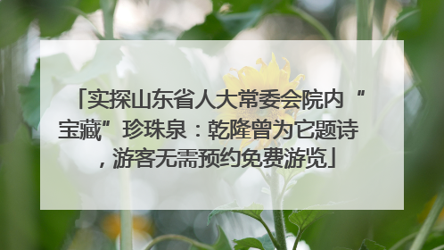 实探山东省人大常委会院内“宝藏”珍珠泉：乾隆曾为它题诗，游客无需预约免费游览