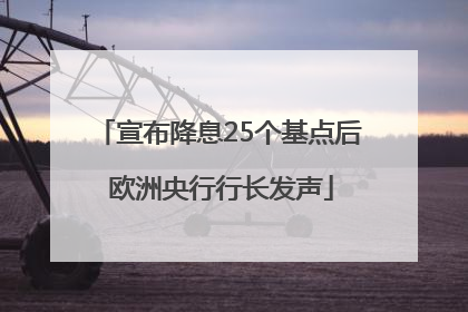 宣布降息25个基点后 欧洲央行行长发声