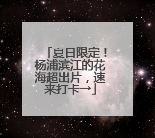 夏日限定！杨浦滨江的花海超出片，速来打卡→