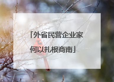 外省民营企业家何以扎根商南