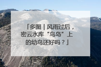 多图｜风雨过后，密云水库“鸟岛”上的幼鸟还好吗？