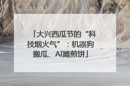 大兴西瓜节的“科技烟火气”：机器狗搬瓜、AI摊煎饼
