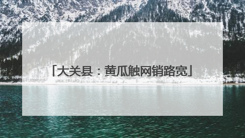 大关县：黄瓜触网销路宽