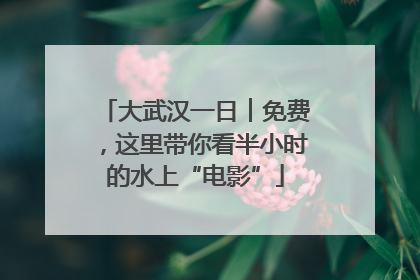 大武汉一日︱免费，这里带你看半小时的水上“电影”