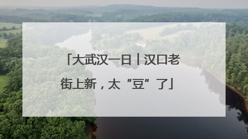 大武汉一日︱汉口老街上新，太“豆”了