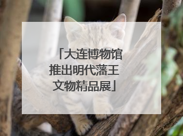 大连博物馆推出明代藩王文物精品展