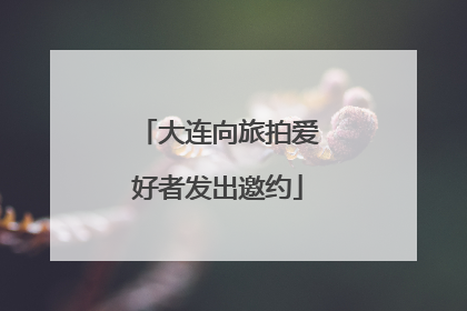 大连向旅拍爱好者发出邀约