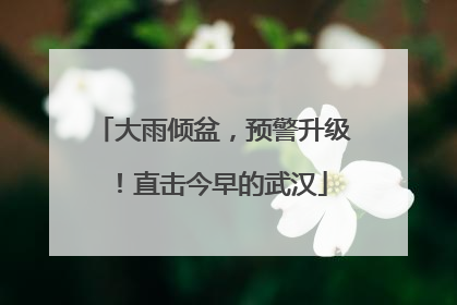 大雨倾盆，预警升级！直击今早的武汉