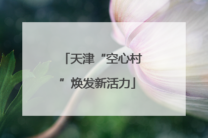天津“空心村”焕发新活力