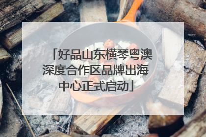 好品山东横琴粤澳深度合作区品牌出海中心正式启动